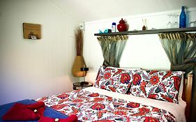Quirky Woods - Glamping Cabins At Maketu